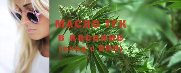 шишки Абаза