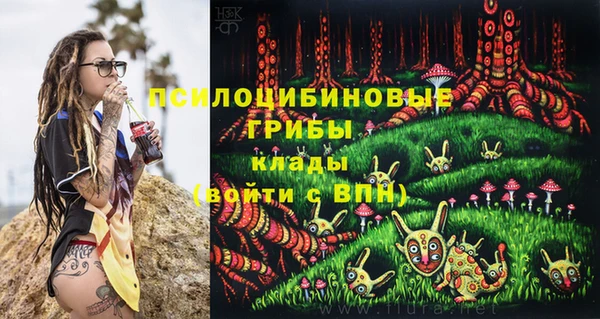 шишки Абаза