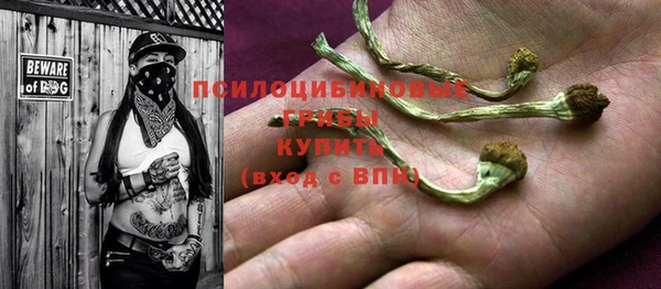 мяу мяу мука Абдулино