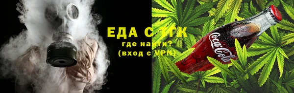 шишки Абаза
