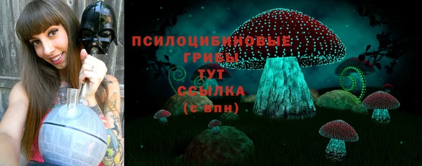 мяу мяу мука Абдулино