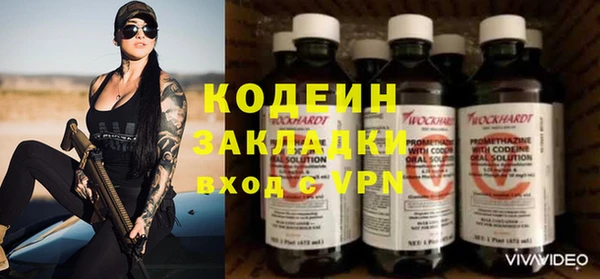 шишки Абаза
